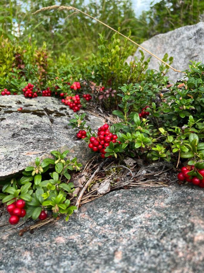 Raemsbyns Fritidsby, Naera Romme Alpin Apartamento Idkerberget Exterior foto